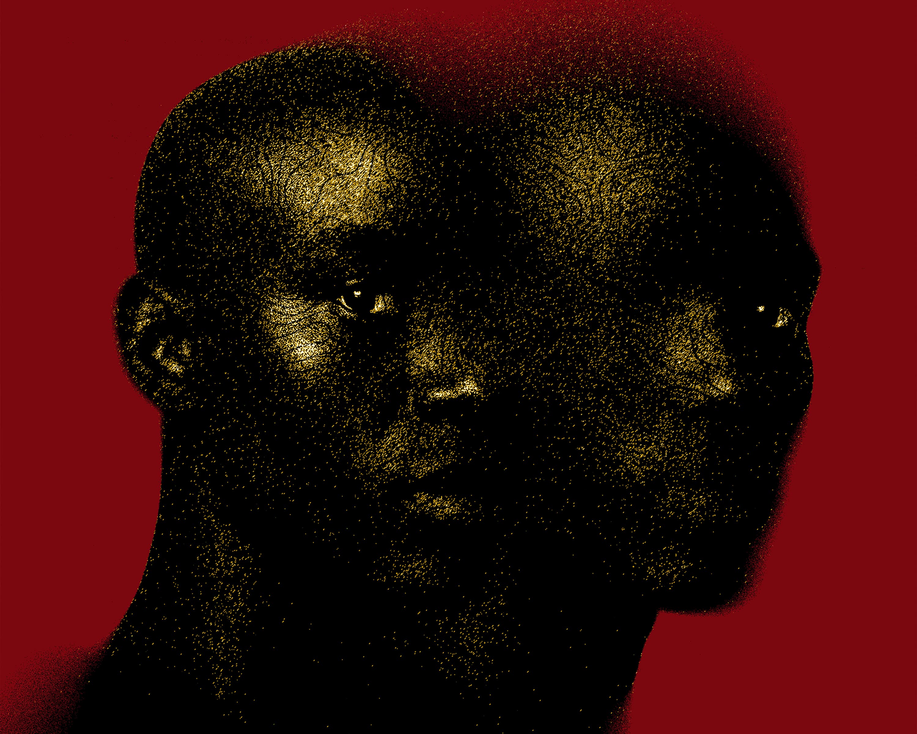 Do They Have Two Heads? Reimagined, exhibition work